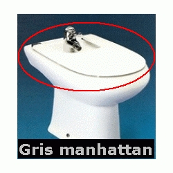 TAPA BIDE BISAGRAS DORADAS ATLANTA GRIS MANHATAN ROCA DSCTL, Roca Sanitarios Series Baos Aseos Dorados videt bidet VISAGRAS  Asientos Y Juego Anclajes anclages De