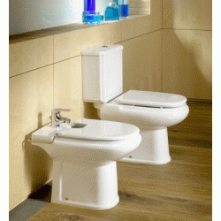 ROCA SANITARIO MODELO DAMA BLANCO