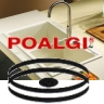 Poalgi